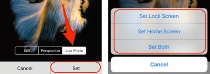 Live Photo وSet Lock Screen، والشاشة الرئيسية، وكلا الخيارين
