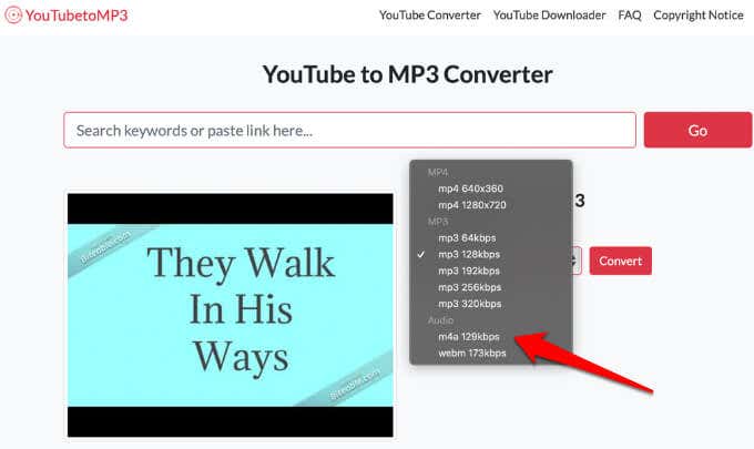 كيفية تحويل YouTube إلى MP3 على Windows وMac والهواتف المحمولة الصورة 8