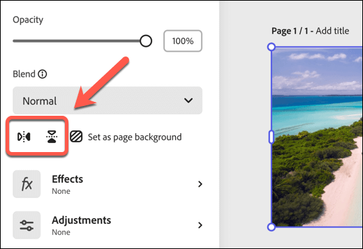 استخدام أداة تقليب الصور المجانية في Adobe Express Online image 3 - how-to-flip-images-in-google-docs-8-compressed