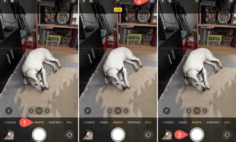 كيفية تشغيل والتقاط الصور الحية على iPhone