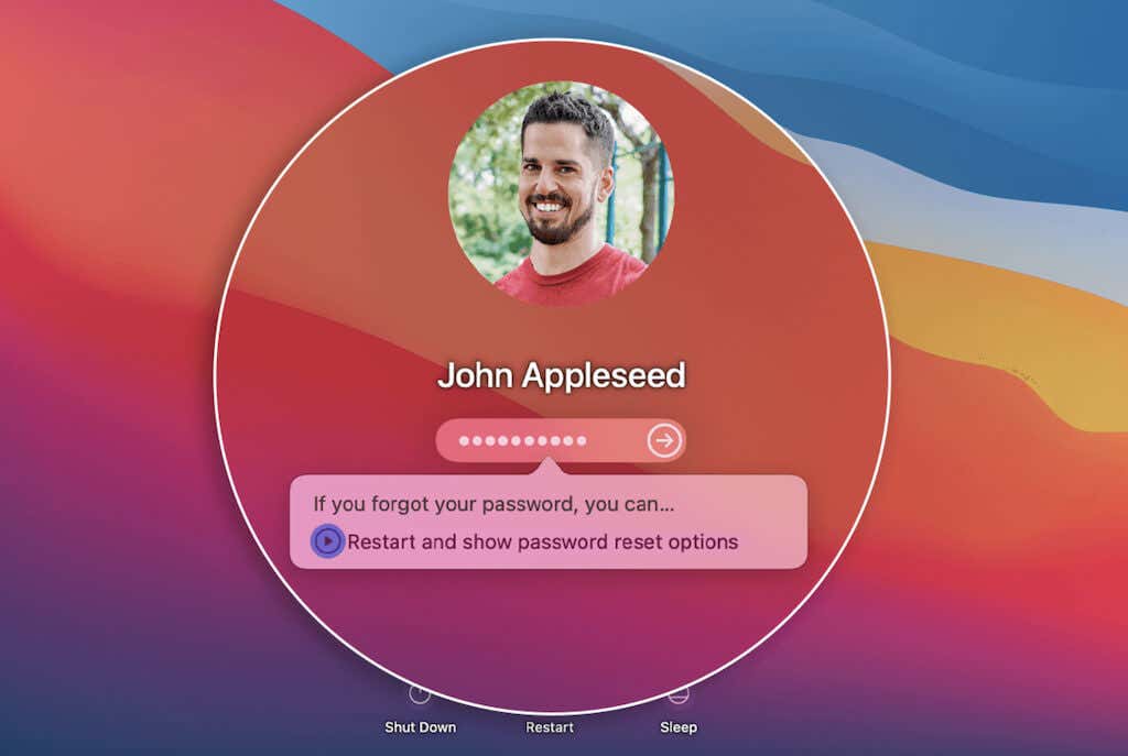 خيارات إعادة تعيين كلمة مرور لقطة الشاشة على نظام Mac