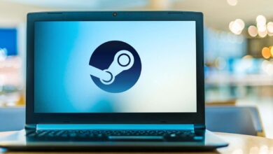 كيفية إصلاح خطأ Steam "VAC غير قادر على التحقق من جلسة اللعبة الخاصة بك".