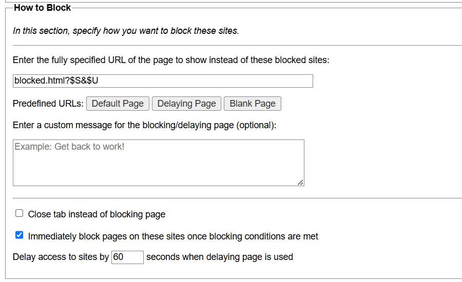 قسم "كيفية حظر" من ملحقات leechblock chrome.