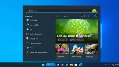 كيفية تمكين أو إيقاف تشغيل أبرز الأحداث في Windows 11